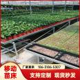 New greenhouse potted flower cultivation bed with high standards of anti-corrosion and rust resistance, and mobile seedling bed with large bearing capacity