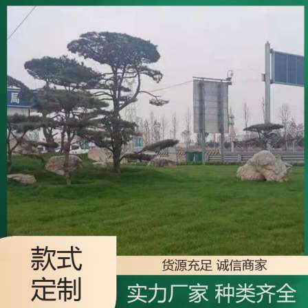Large scale fish pond landscaping, flood control, irregular rubble slope protection, and low cost of counterfeiting by Shi Qingpeng