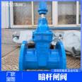 Valls Physical Supply Non rising Stem Gate Valve Water Plant Soft Seal Valve Ductile Iron Material