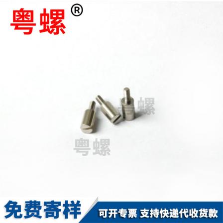 Stainless steel shoulder plug and high screw, stainless steel step plug and screw