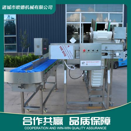 Oyster Material Box Sorter White Striped Chicken Online Weighing and Sorting Equipment Seafood Sorter
