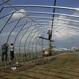 Greenhouse greenhouse installation, plastic greenhouse construction, hot-dip galvanized material with good corrosion resistance