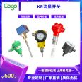 KR explosion-proof flow switch