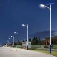 Xinyonghong Ethnic Characteristic Rural Road Lighting 100W Single Arm Integrated Street Lamp