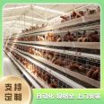 Breeding equipment chicken net Huzhou chicken farm equipment Huzhou chicken breeding equipment Changchun breeding equipment Egg chicken meat chicken breeding equipment Henan chicken breeding equipment manufacturer