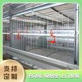 Net raised broiler equipment Xinxiang chicken equipment How many days does egg laying chicken farming take? Xinxiang chicken farm equipment Egg laying chicken meat chicken farming equipment City chicken farm