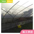 Thin film solar greenhouse, double film framework, Tongfeng Jianye multi-span vegetable greenhouse framework, hot-dip galvanized greenhouse factory