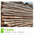 Cunninghamia lanceolata stake, river flood prevention stake, log, larch landscape, greening support pole, round wood base, Hongyuan Building Materials