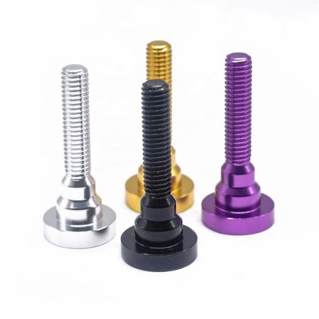 Customization of Color Anodizing Treatment for Aluminum Alloy Screw CNC Lathe Processing