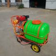 Supply of gasoline spray orchard sprayer hand push high-pressure sprayer