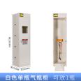 Gas cylinder cabinet explosion-proof all steel safety cabinet laboratory with alarm gas single and double cylinder gas cylinder cabinet