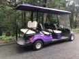 Rickette 8+3 Golf Cart Electric Golf Cart 8-seater