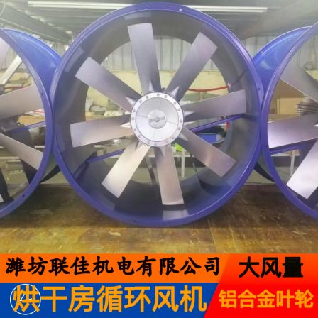 Selection of Drying Room Fan Wood Drying Equipment High Temperature and Humidity Resistance Drying Kiln Circulating Ventilation Fan Ludong Hualian