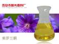 Spicy Tree Seed Oil Plant Extract Single Formula Essential Oil Spicy Oil Guoguang Spice Spot