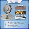 Zhuoran Tiangong diaphragm pressure gauge with flange connection, stainless steel shockproof, corrosion-resistant, high-temperature resistant, high-precision vacuum gauge