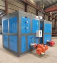 Vertical Gas Steam Generator Cement Maintenance Slaughterhouse Environmental Steam Generator