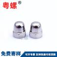 Dome Nut Customized Hexagon Decorative Nut Wheel Screw Decorative Nut M4 M5