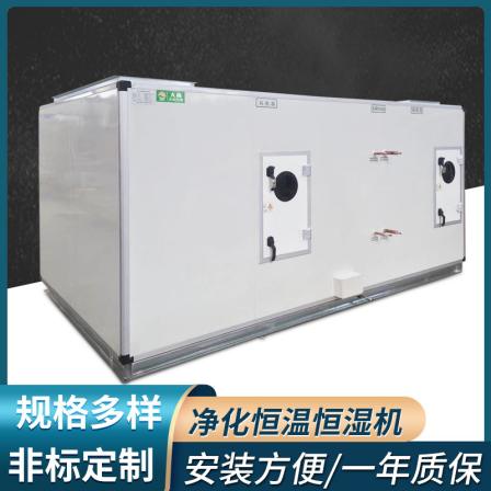 Dashang constant temperature and humidity unit air conditioning unit air-cooled direct expansion air conditioning unit