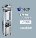 Donglian Customized Villa Elevator Self built Three story Duplex Jump Floor Household Lift Platform with Indoor Elevator Installation