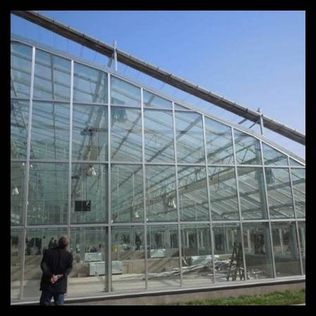 Delivery to factory_ Breeding_ Pig Pregnancy Housing_ Breeding greenhouse_ Company Merchant