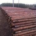 Hongyuan Landscape Wooden Square Pine Piles, Wholesale of Timber, Deciduous Pine, Keel Strips, Customizable for National Shipping