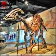 Simulating the skeleton fossils of paractylosaurus, 5m ancient biological skeleton, science popularization model, customized museum, beauty display factory