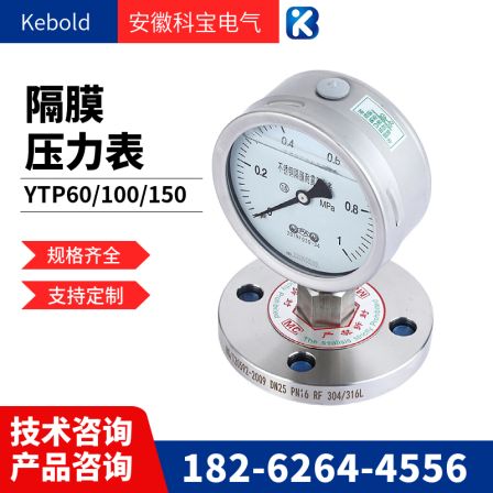 Quick fitting stainless steel sanitary diaphragm pressure gauge YN100BF-MC 1MPA material 304