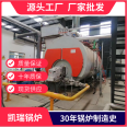 2023 1-ton 2-ton gas steam boiler manufacturer 4-ton fully automatic natural gas industrial boiler