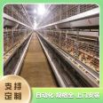 Breeding equipment chicken net Huzhou chicken farm equipment Huzhou chicken breeding equipment Changchun breeding equipment Egg chicken meat chicken breeding equipment Henan chicken breeding equipment manufacturer