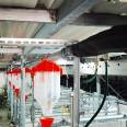 Special equipment for large-scale pig farms - Fully automated feeding line for pigs - Automatic feeding system for pig farms