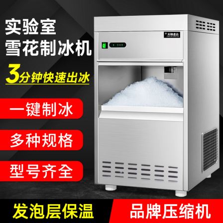 Snow Ice Maker IMS Series_ Fine ice water separation_ For laboratory ice baths