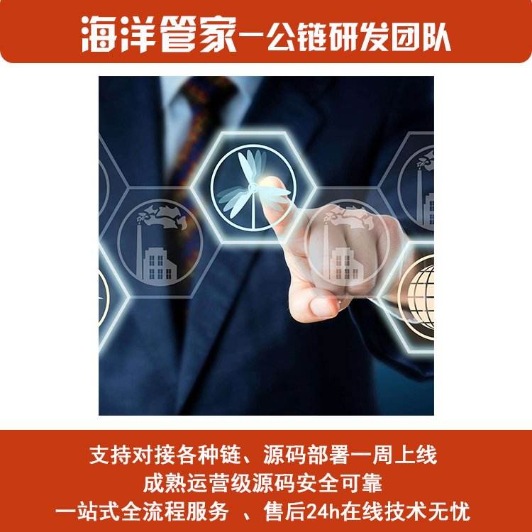 Customized development of public chain system, independent research and development company of public chain provides one-stop technical support