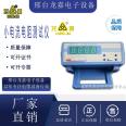 Longjia ZY9733 Small Current DC Resistance Tester Digital Wire and Cable Withstand Voltage Insulation Measuring Instrument