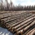 Hongyuan Landscape Wooden Square Pine Piles, Wholesale of Timber, Deciduous Pine, Keel Strips, Customizable for National Shipping