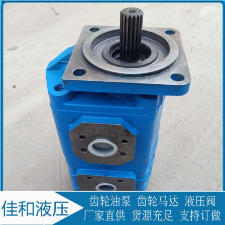 Hydraulic pump CBGJ3100/1010-XF left torque number 41200001058 runs stably and has high efficiency