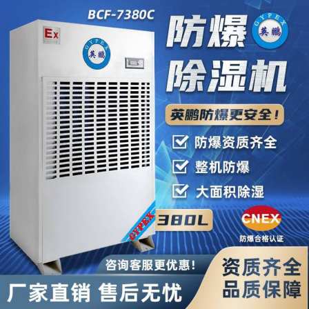 Yingpeng Explosion proof Dehumidifier Industrial Dehumidifier 380L/day BCF-7380C