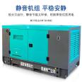 200kw generator set mute Diesel generator brushless home factory standby