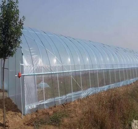 Tai You Yi Building Materials Simple Film Greenhouse, Single Insertion Greenhouse, Arch Greenhouse, Agricultural Seedling Cultivation, Flower Cold Greenhouse Installation
