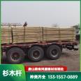 Wholesale of bamboo, wood, logs, green poles, and cedar poles can be customized for anti-corrosion and compressive support. Factory inspection