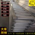 Stacking Forklift Ladder Tonnage Width Customizable Ladder Large Specification Production and Delivery Quality Good