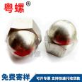 Dome Nut Customized Hexagon Decorative Nut Wheel Screw Decorative Nut M4 M5