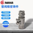 Haige Pipe Valve Precision Casting Stainless Steel Pipe Valve Blank Casting Medium Temperature Wax Process Cast Steel Pouring Customized Processing