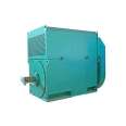 Taifu Xima Motor YXKK560-6 Pole 1120KW kW 6KV Large and Medium Efficient High Voltage Motor IP54