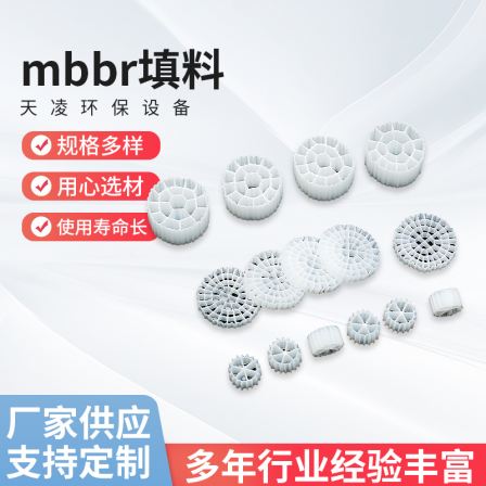 Tianling MBBR suspended packing porous fluidized bed biocarrier environmentally friendly packing