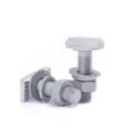 Chenluo Hafen groove bolt 3823 3020 5234 high-strength hot-dip galvanized T-shaped curtain wall embedded groove screw