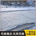 Composite geomembrane, multi cloth, multi film, lotus pond, fish pond, landscape, and lake anti-seepage membrane support customization