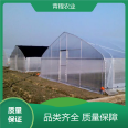 Qingcheng Agriculture has strong pressure resistance, and the design of a single thin film greenhouse has over 90% light transmittance and large lighting area