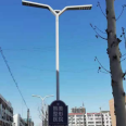 8-meter parallel arm dual lamp head municipal LED street light New rural high pole road lighting light Xinyonghong