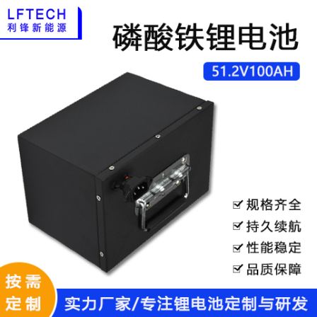 Large capacity 48V robot battery Lithium iron phosphate battery AGV Cart low-speed car golf cart