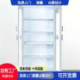Shuangbin Laboratory Exhaust Cabinet Anti corrosion Strong Acid Strong Alkalization Product Cabinet Safety Cabinet Double Lock Storage Cabinet Strong Acidization